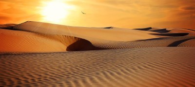 Dune, el planeta de los CEO