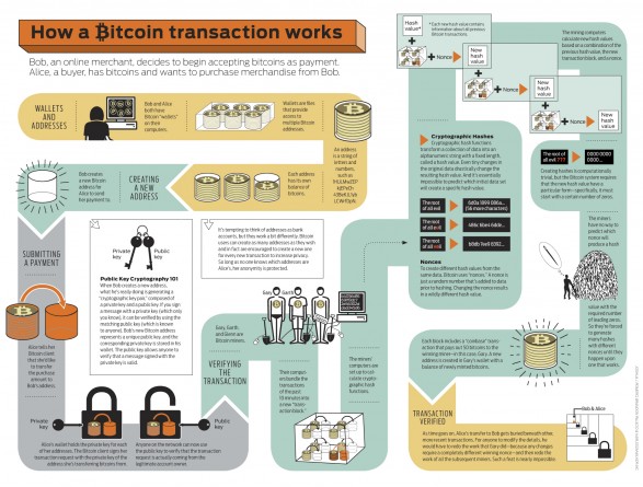 Bitcoin infographic