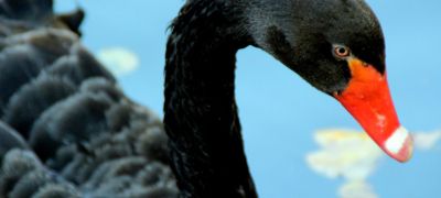 ¿Qué será de cloud tras el COVID-19?