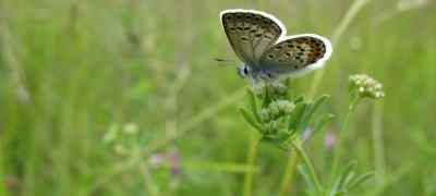 Fibra óptica: el efecto mariposa de la "ecotransformación"