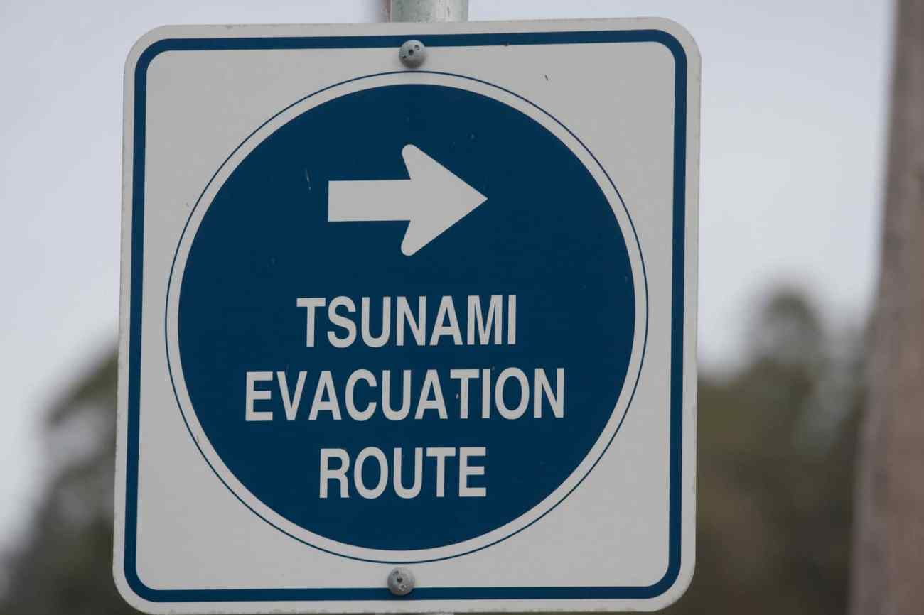 tsunami-COVID
