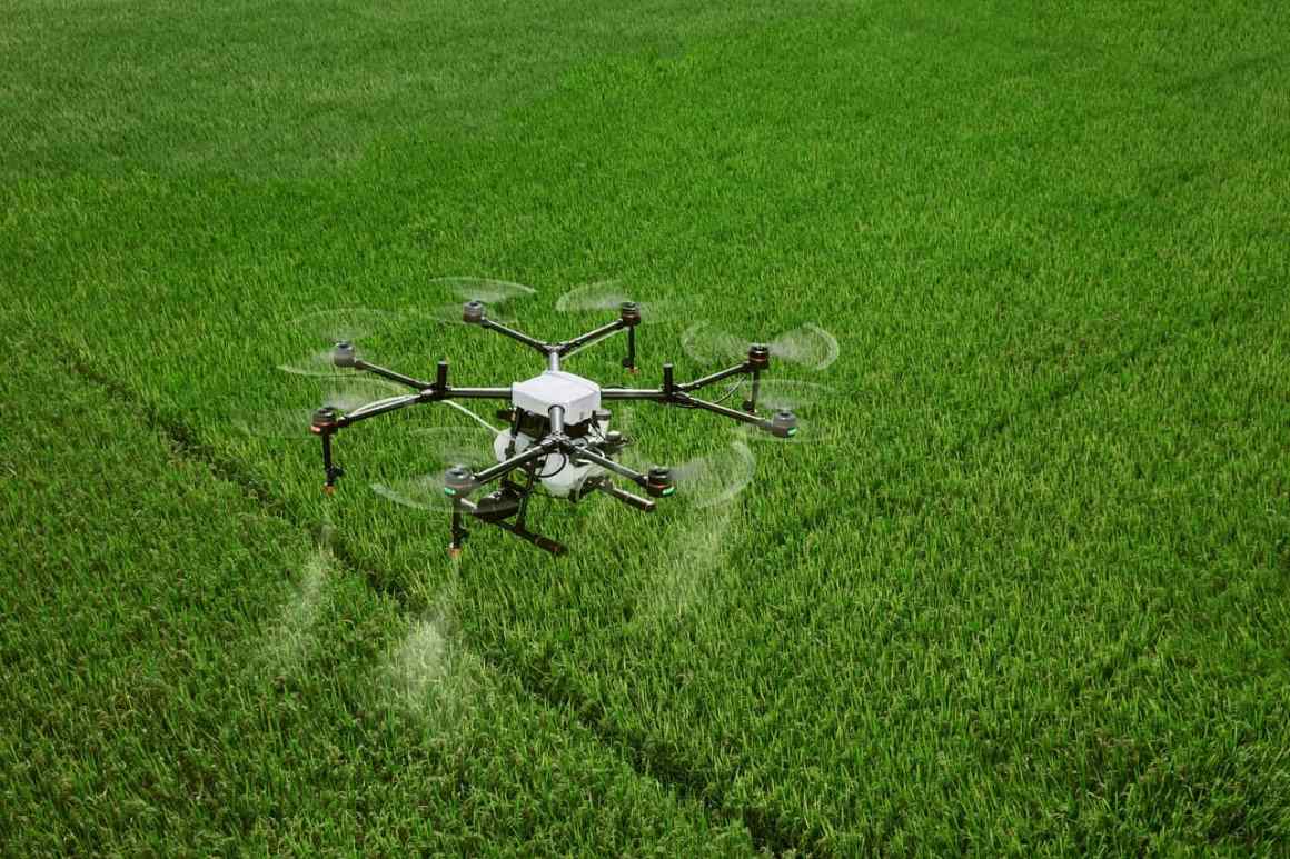 innovacion-abierta-sector-agrifoodtech