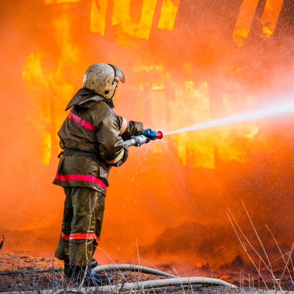 Imagen Placeholder Grande