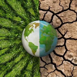 Imagen Placeholder Pequeña Superior Derecha